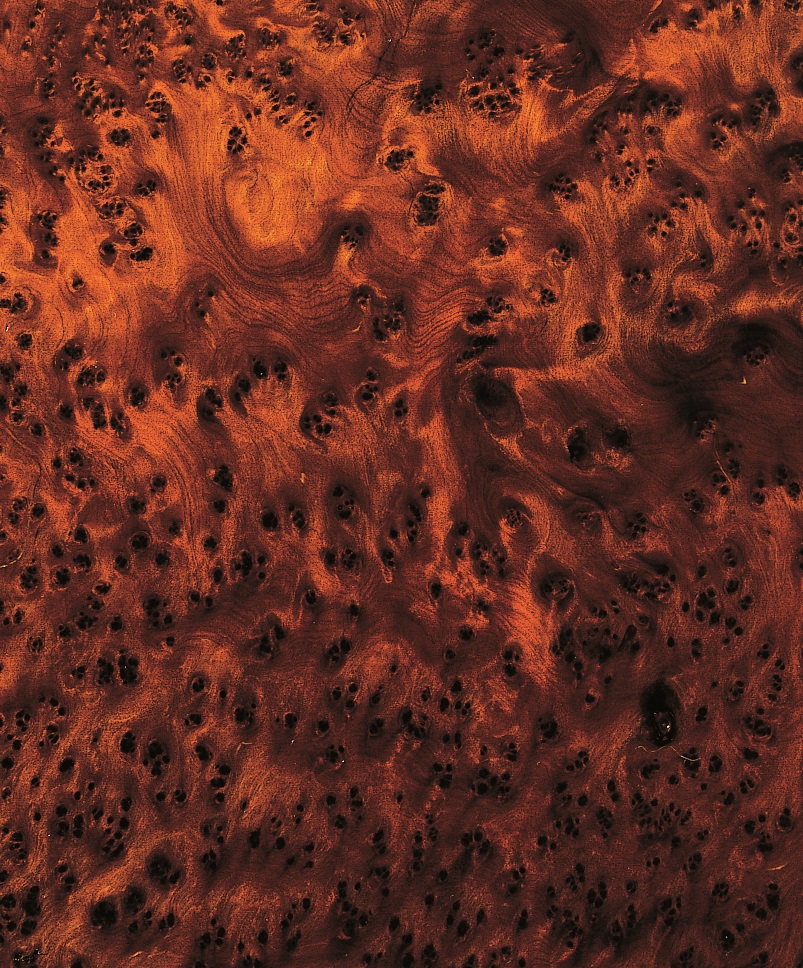 Corail loupe de bois placage Maser Intarsie 1i 109x22/34cm 2 BL 